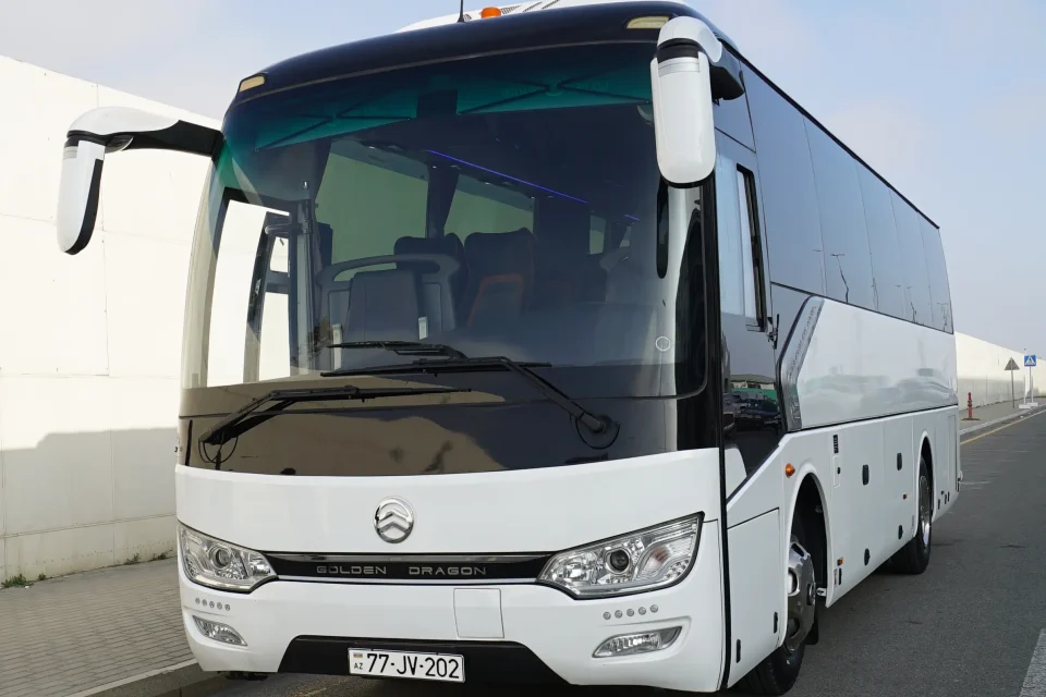 golden dragon 77 jv 202 1